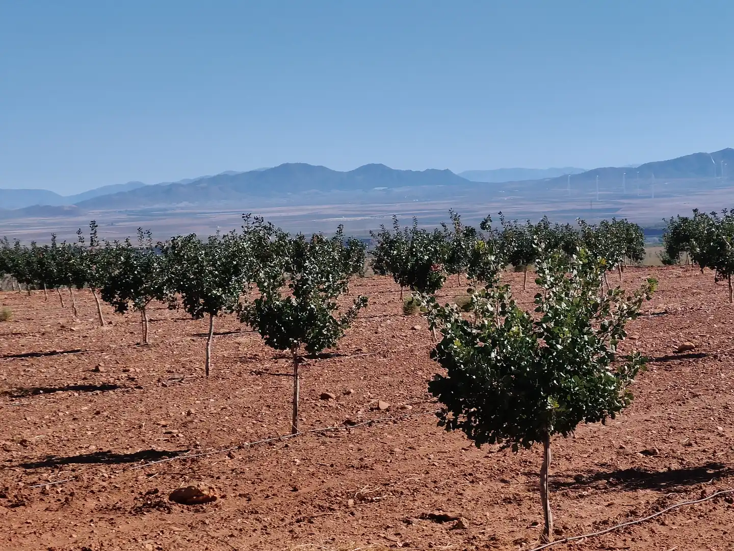 Terreno rustico in vendita a N/A, imagen 12