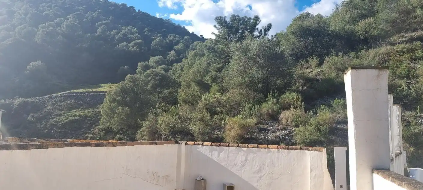 Garden of Detached homes for sale in Cómpeta  with Terrace and Swimming Pool