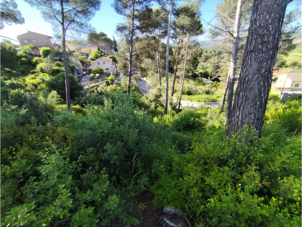 Terreno residencial en venta en Calle Pics D'Europa (Can Mata), imagen 6