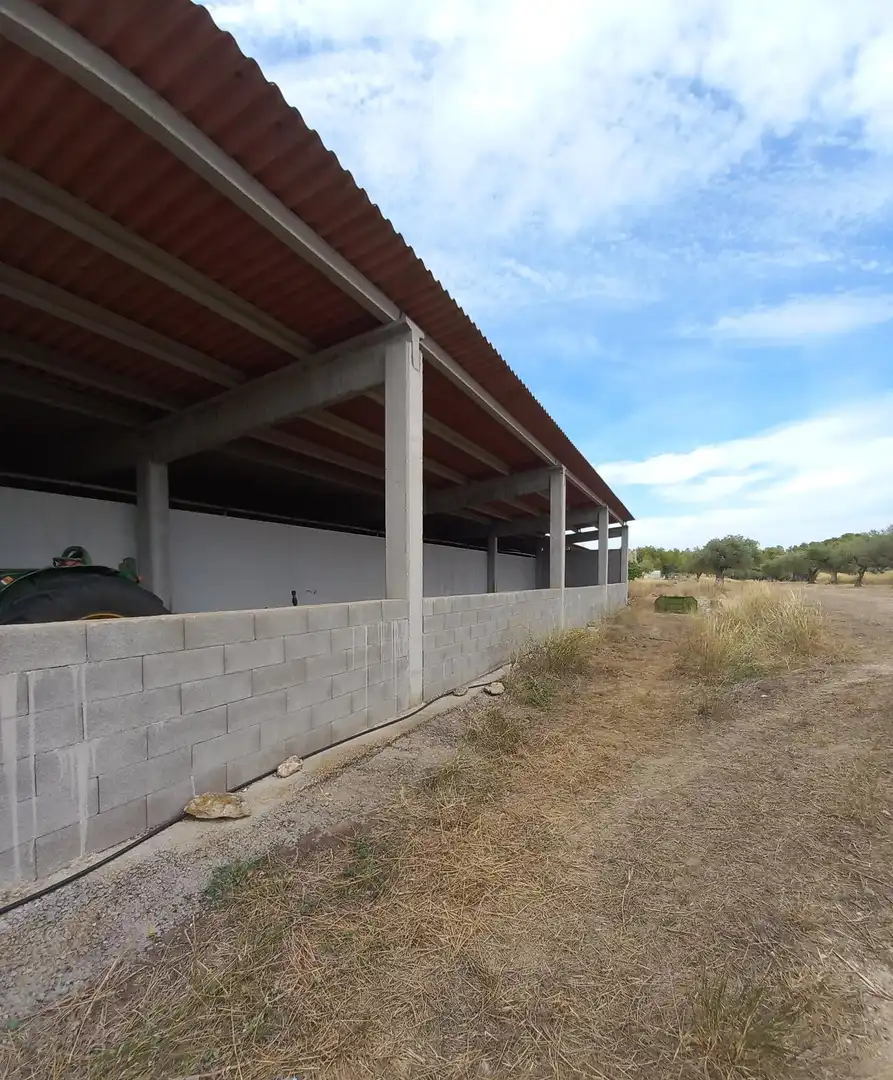 Vista exterior de Finca rústica en venta en Tivissa