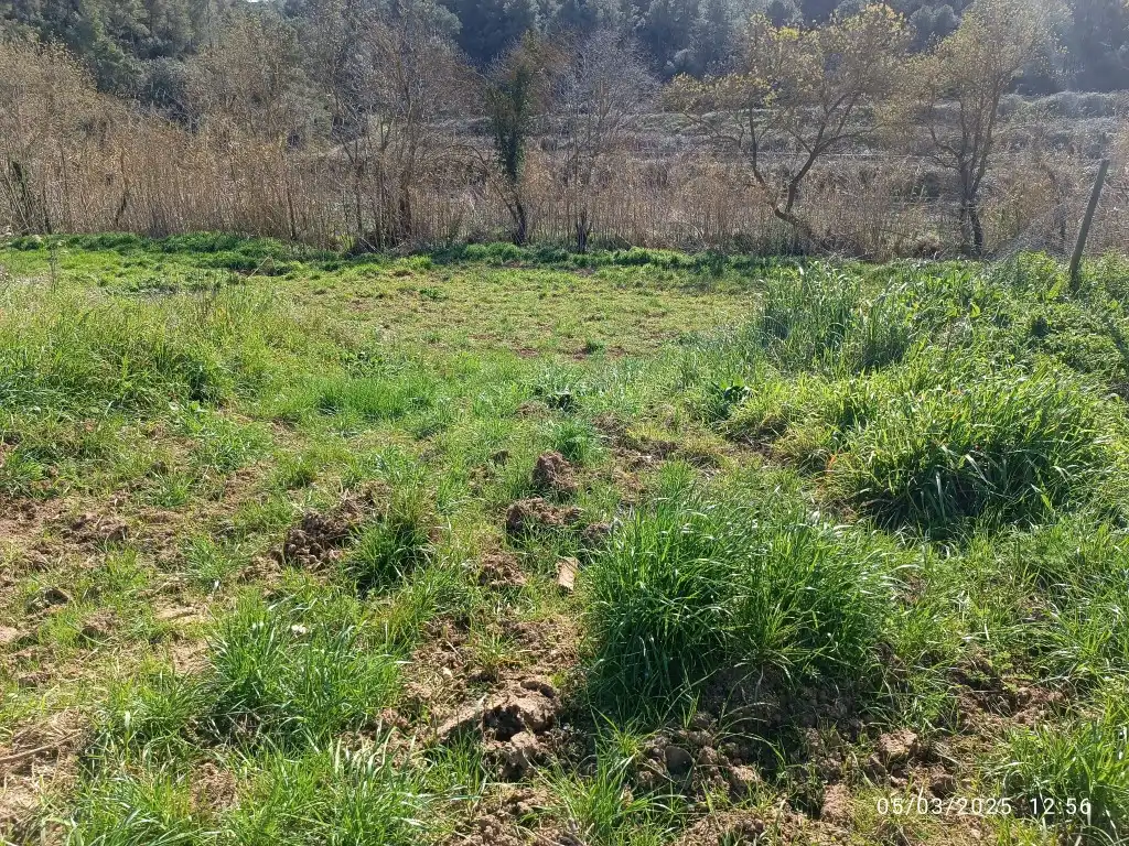 Rustikales Grundstück zum Verkauf in Sant Julià, imagen 4