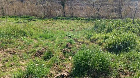 Foto 4 de Terreno en venta en Sant Julià, Vilafranca del Penedès