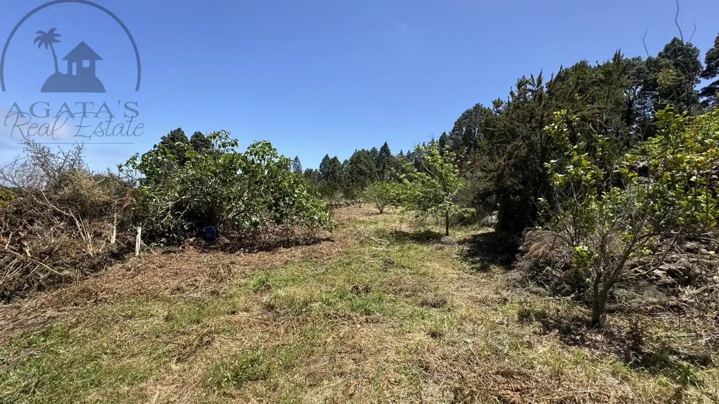 Lands and plots for sale in La Peña 1, imagen 7