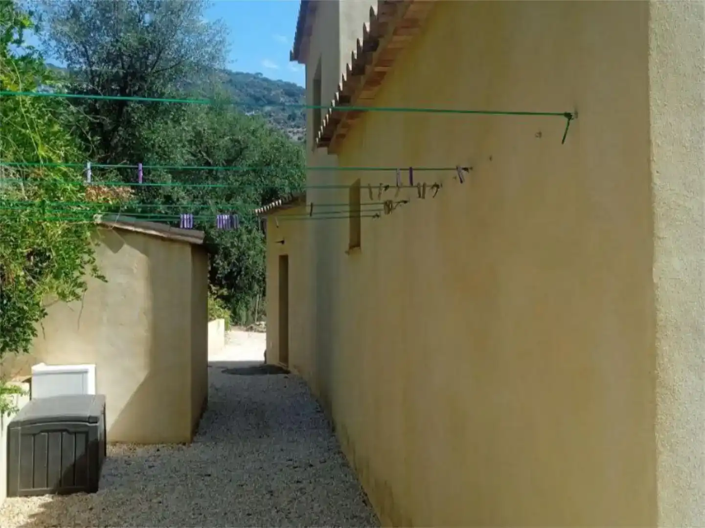 Vista exterior de Finca rústica en venta en Genalguacil con Jardín privado