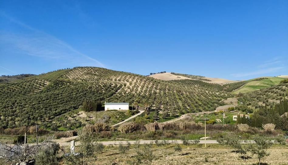 Photo 1 of Country house for sale in N/a, Partidas Norte, Málaga