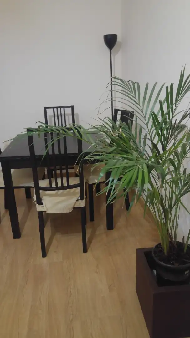 Apartment with lift to rent in Calle Constancia 34, imagen 35
