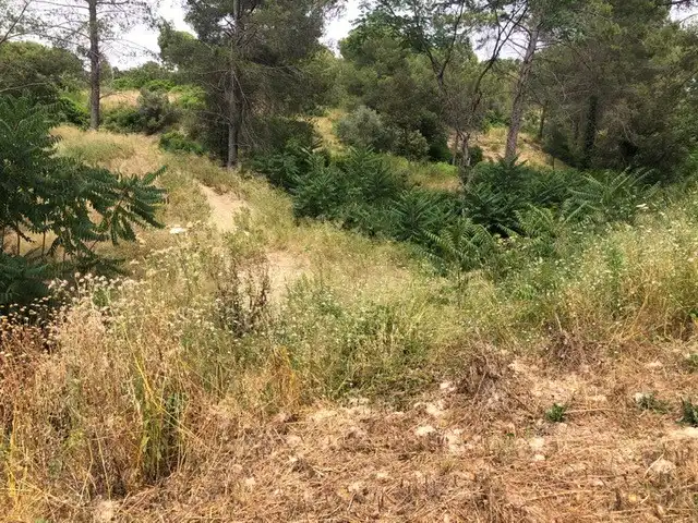 Terreno residenziale in vendita a Sud, imagen 24