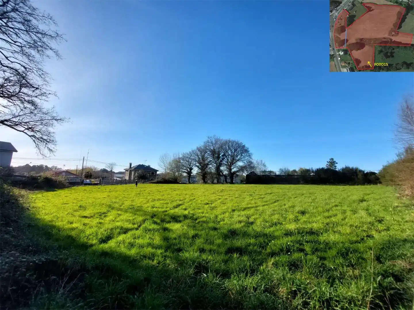 Land for sale in Curtis