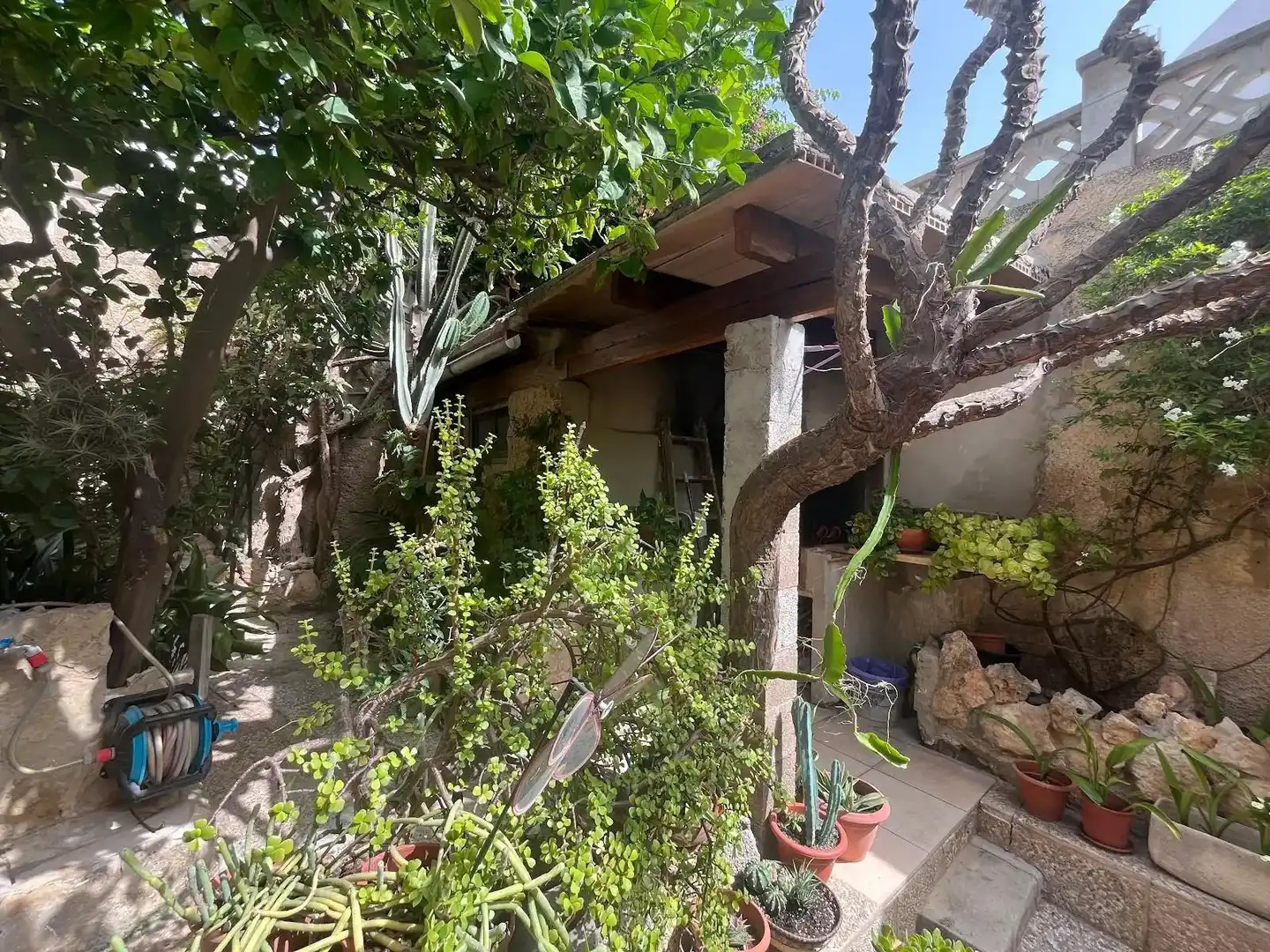 Jardí de Casa o xalet en venda en  Palma de Mallorca amb Jardí privat, Terrassa i Traster