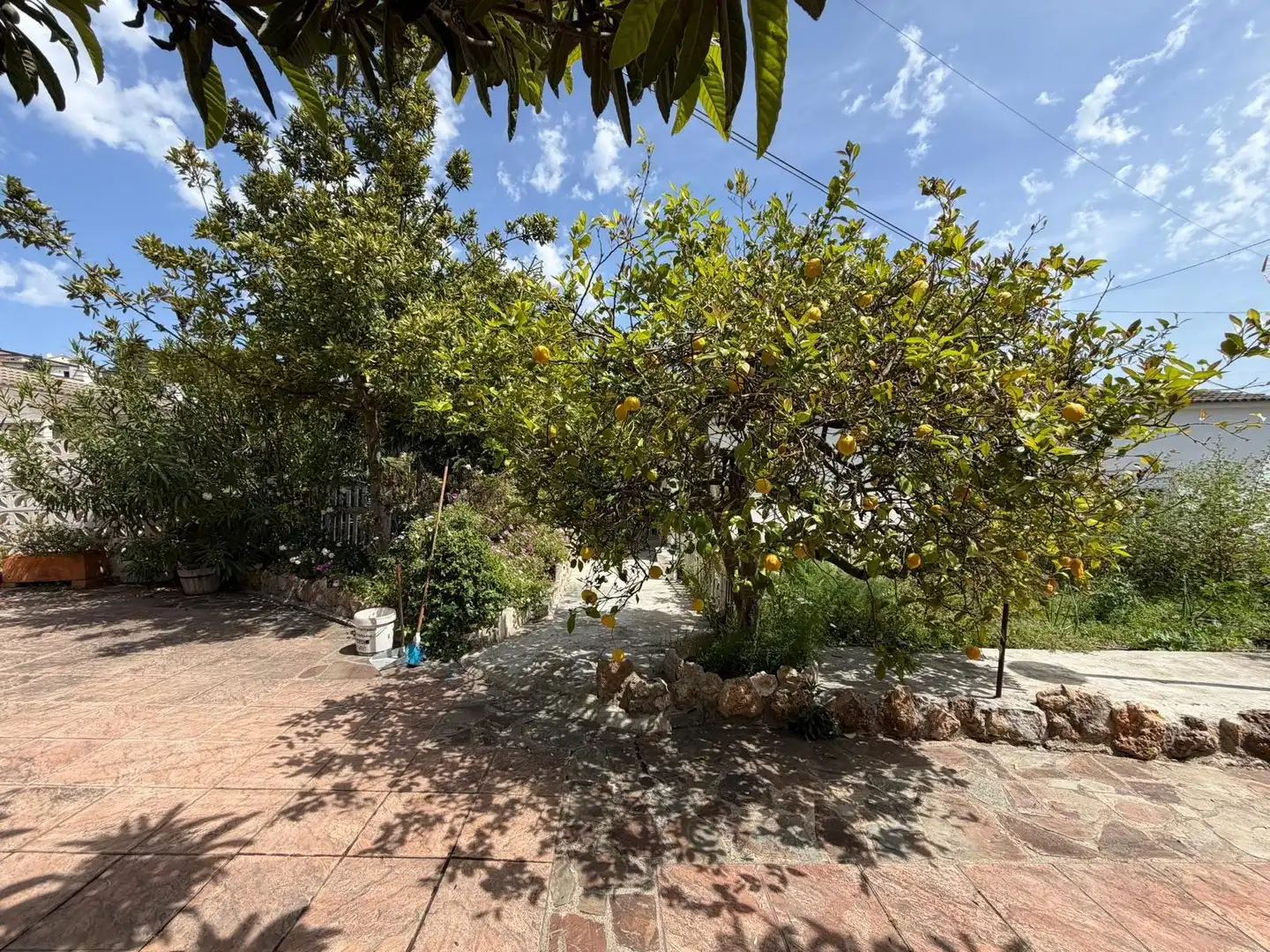 Jardí de Casa o xalet en venda en Sant Jaume dels Domenys
