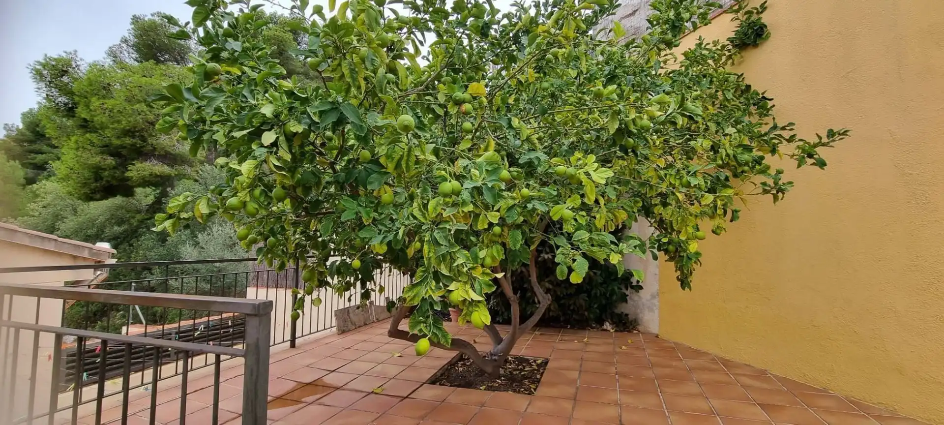 Adosado con piscina en venta en Segur de Calafell, imagen 35