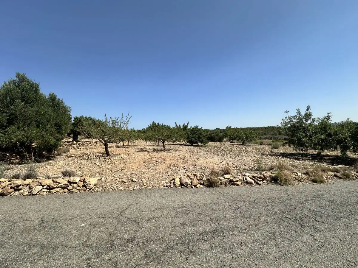Terreno residencial en venta en Alfara de la Baronia, imagen 21