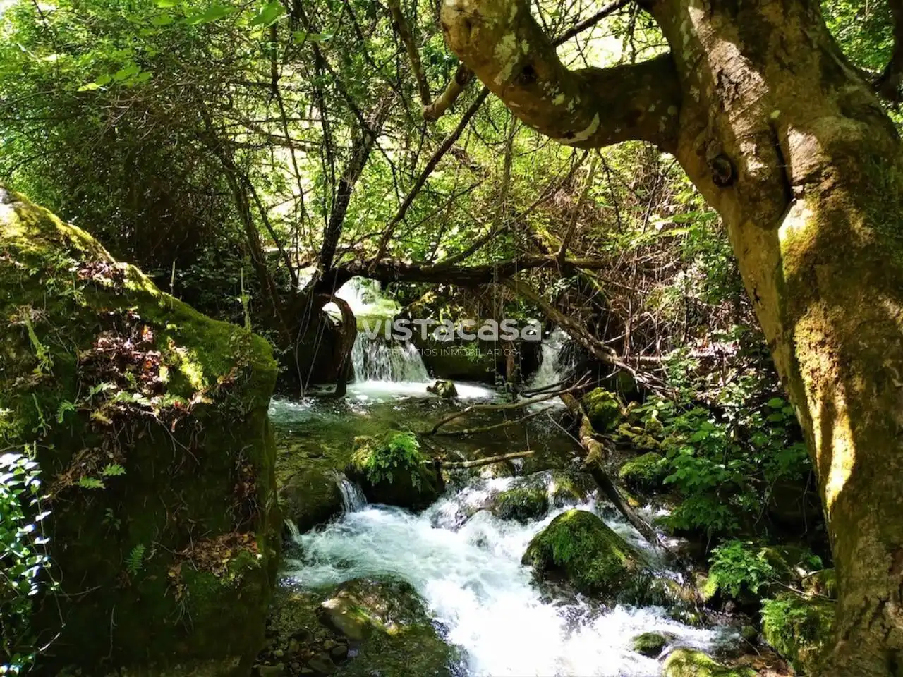Casa rústica en venda a Grazalema, imagen 27