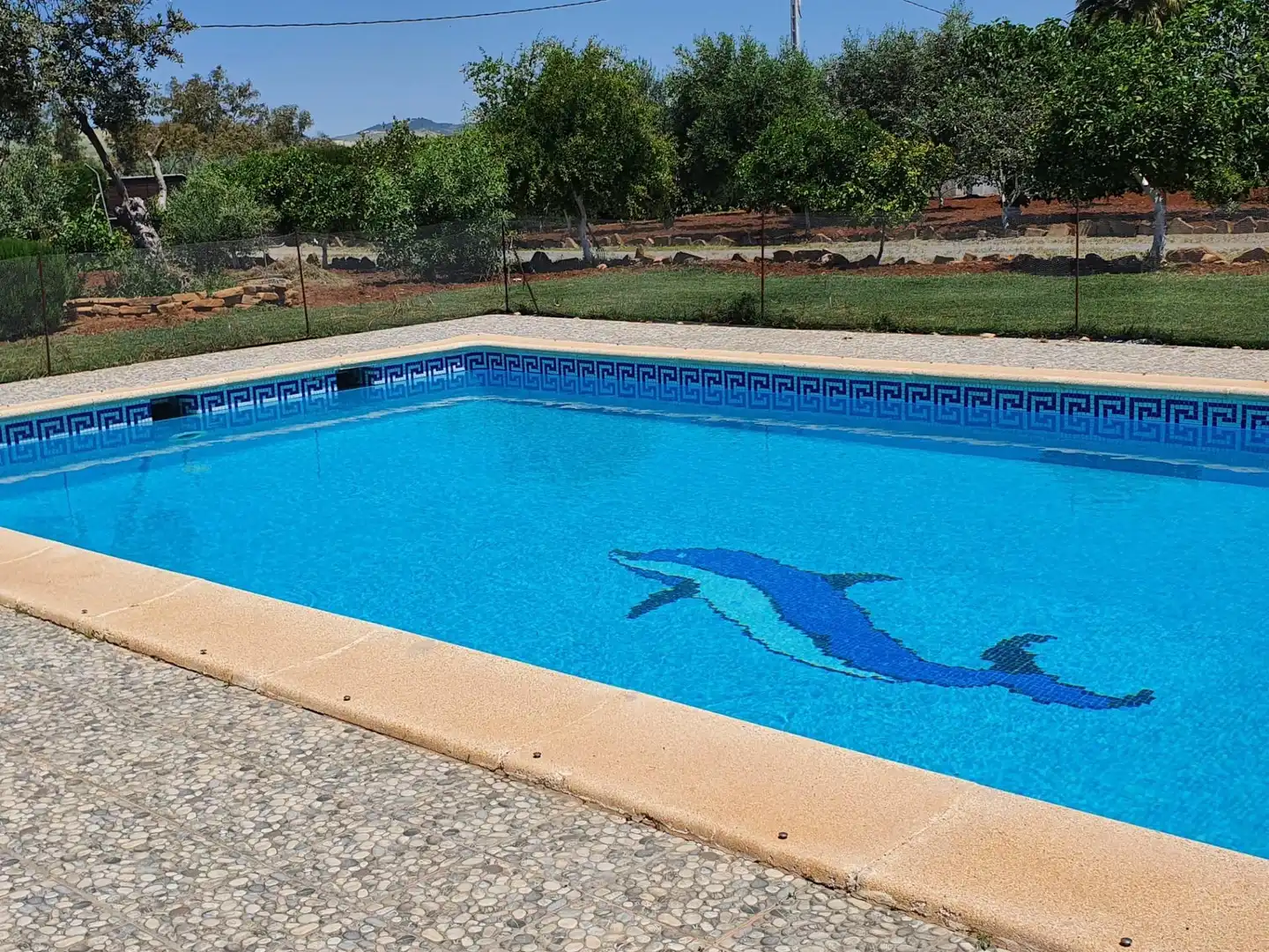 Maison avec piscine à vendre à El Coronil, imagen 15