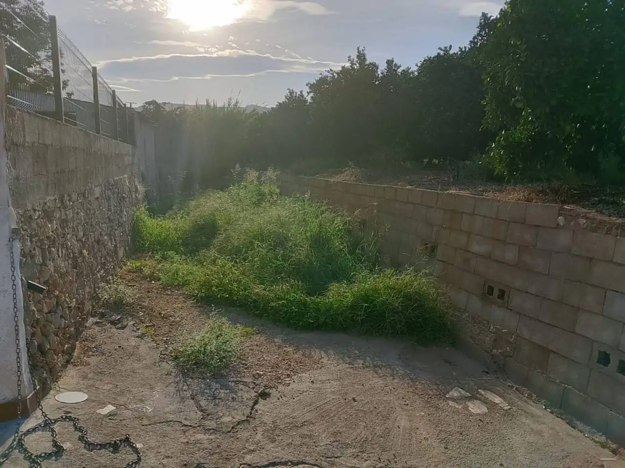Terreny rústic en venda a Camino Cova Negra 1, imagen 12