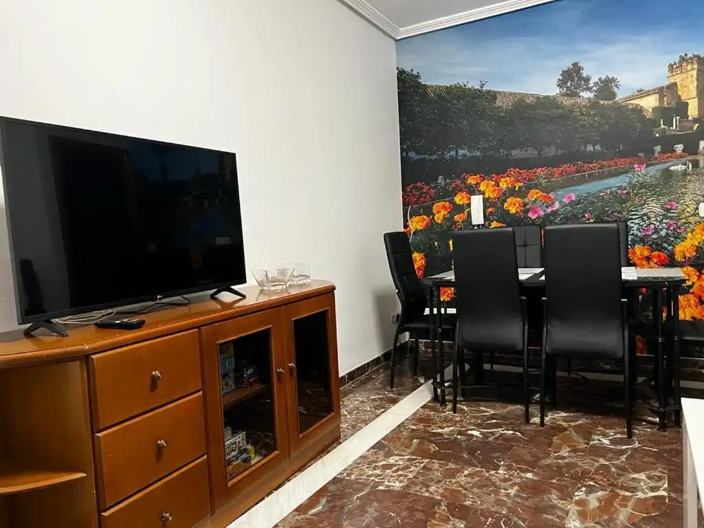 Living room of Flat for sale in Córdoba  with Air Conditioner, Heating and Furnished