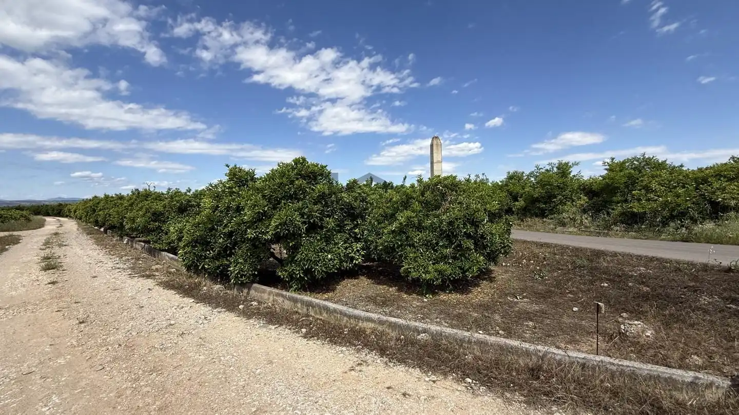 Terrain rustique à vendre à La Pobla Llarga, imagen 2