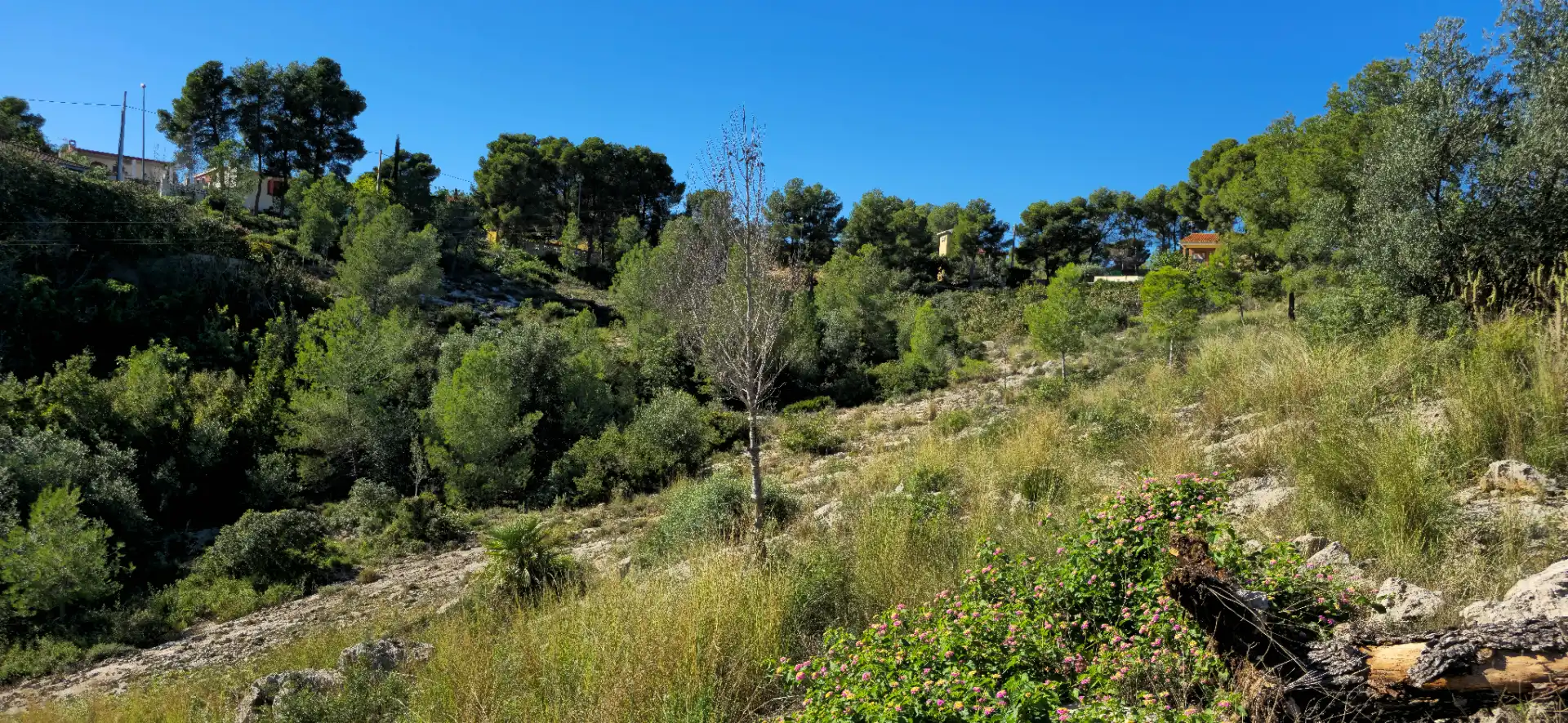 Wohnbaugrundstück zum Verkauf in Calle C/2 Lloma Molina 31, imagen 16