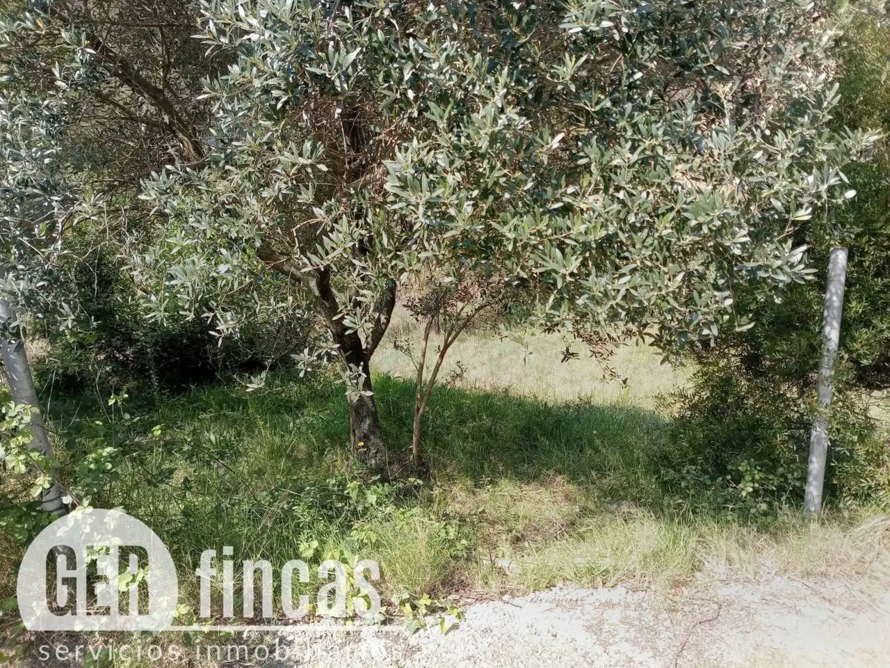 Rural land for sale in Calle Calera, imagen 2