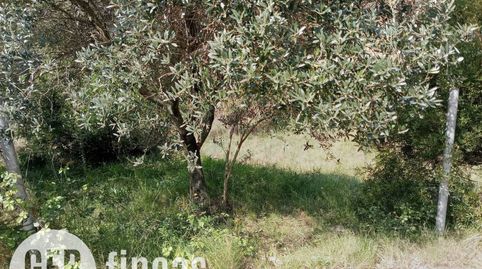 Agrícola NO EDIFICABLE, immagine 2