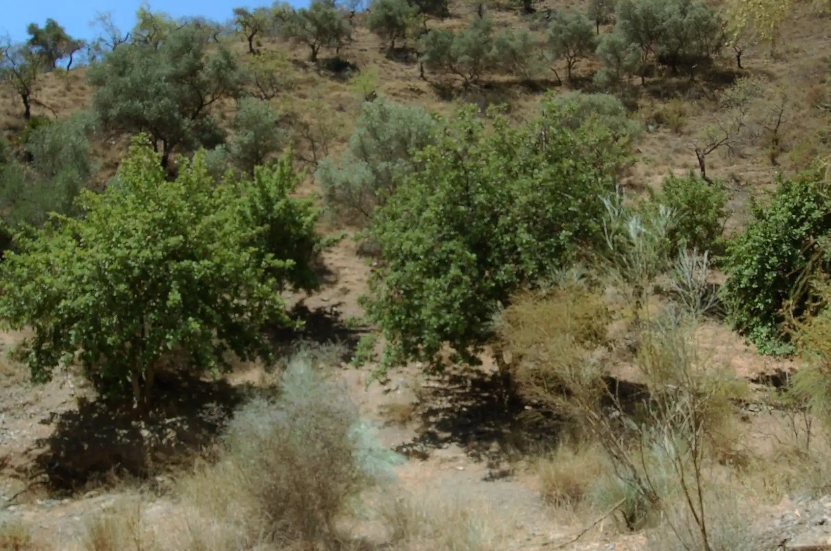 Residencial en venda en Cártama