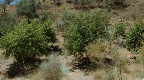 Foto 3 de Residencial en venda a Cártama, Málaga