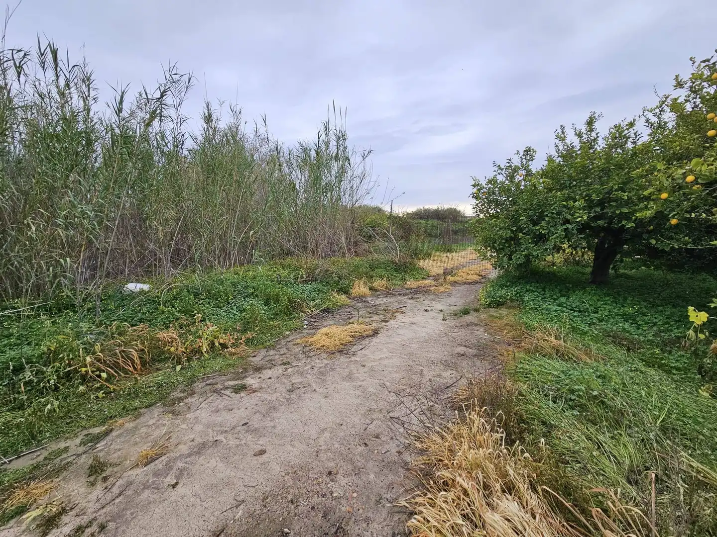 Terreno en venta en Beniel