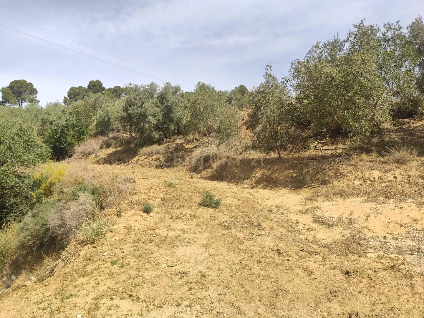 Terreni e lotti in vendita a poligono 3- parcela 102 0, imagen 33