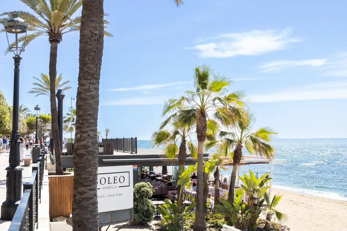 Appartement à vendre à Marbella Centro, imagen 19