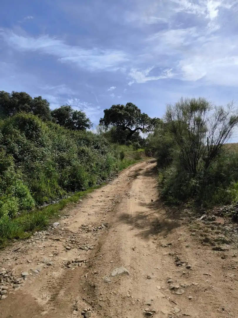 Rural land for sale in Fuente Obejuna, imagen 12