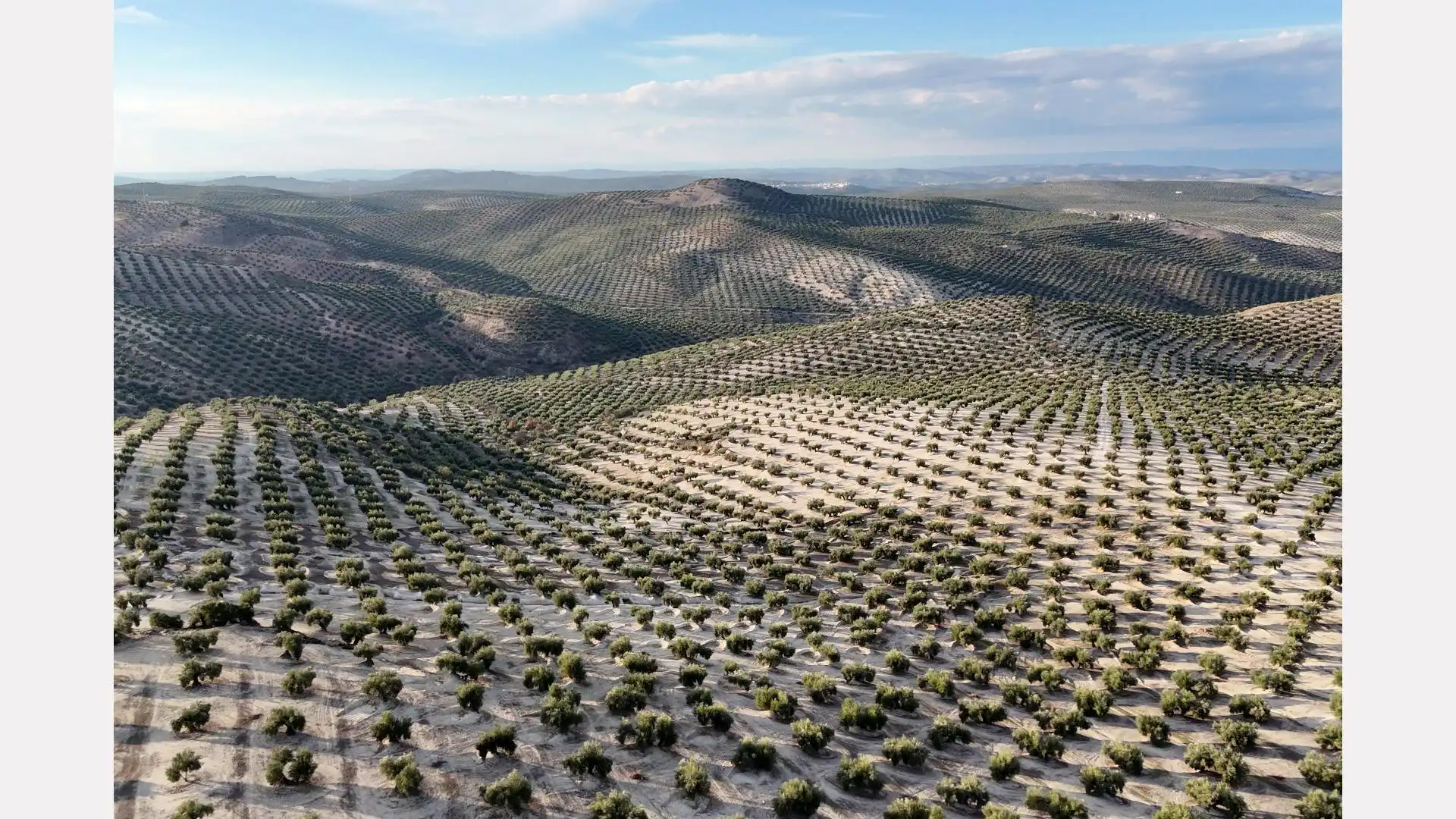Terreno en venta en Torredelcampo