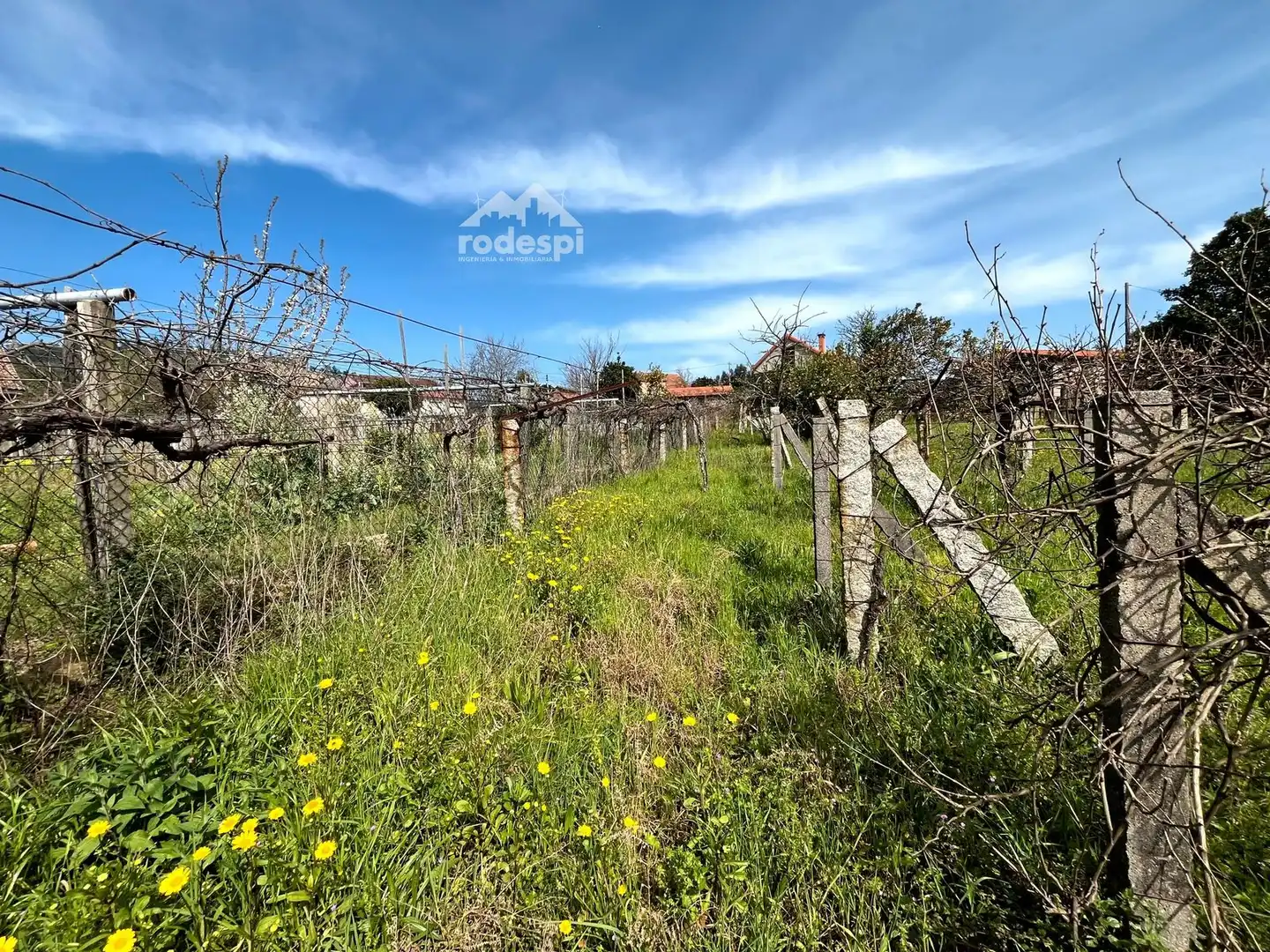 Casa o chalet en venta en Arbo