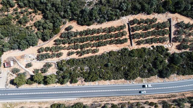 Finca rústica en Venta en T-331, 9 en Freginals