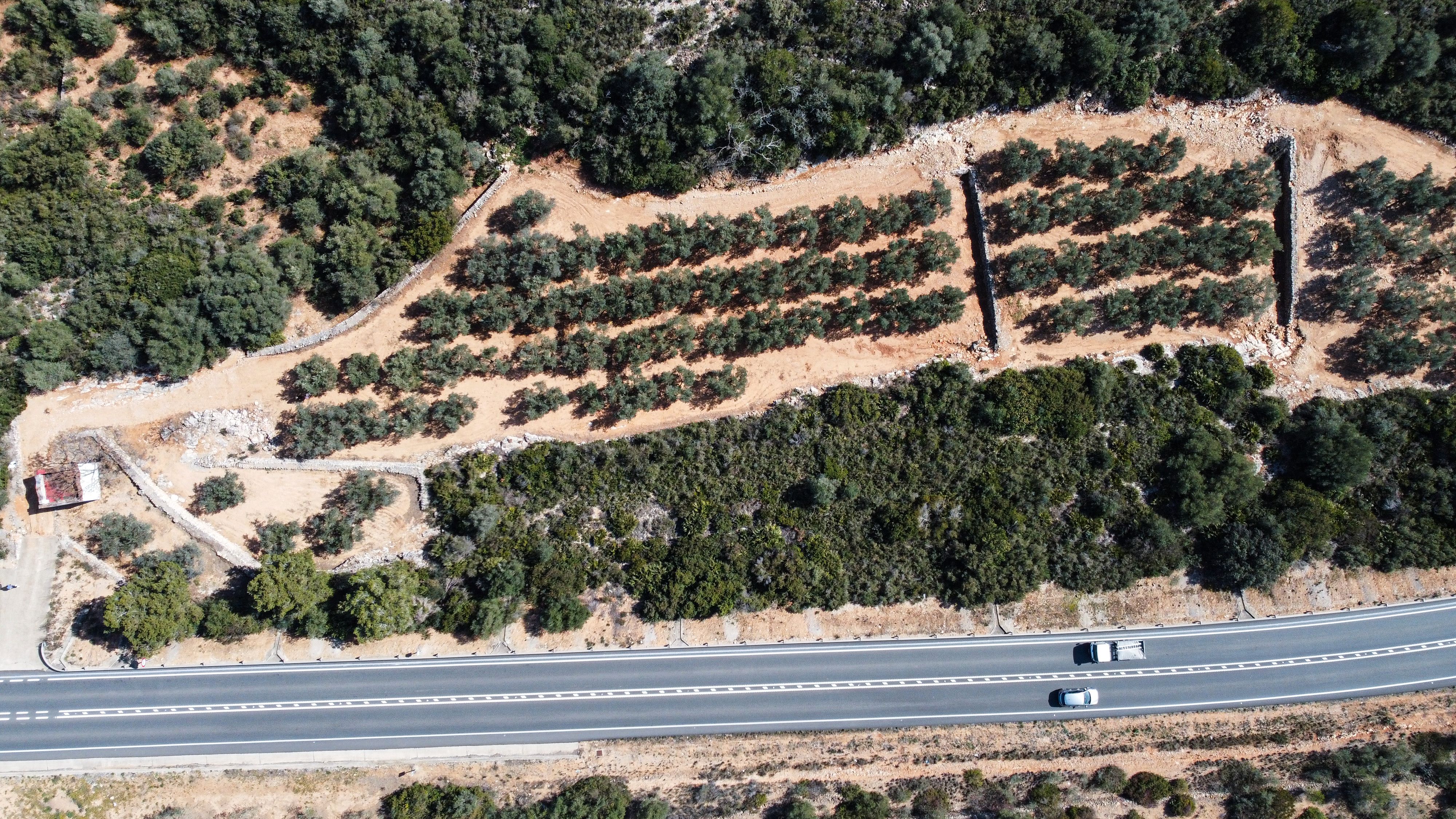 Finca rústica en venta en T-331, 9, Freginals
