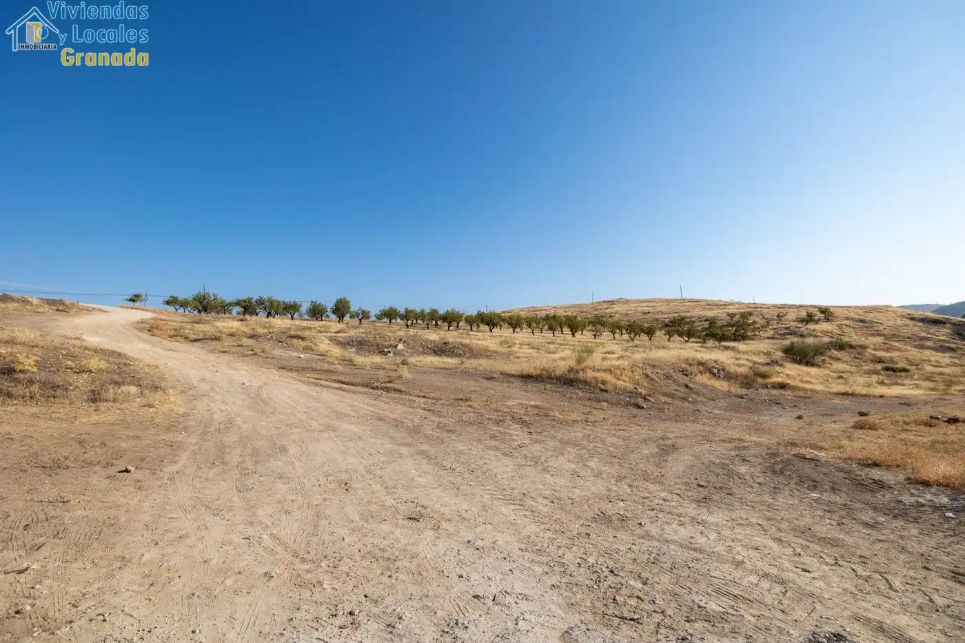 Terreny residencial en venda a Alhama de Granada, imagen 5
