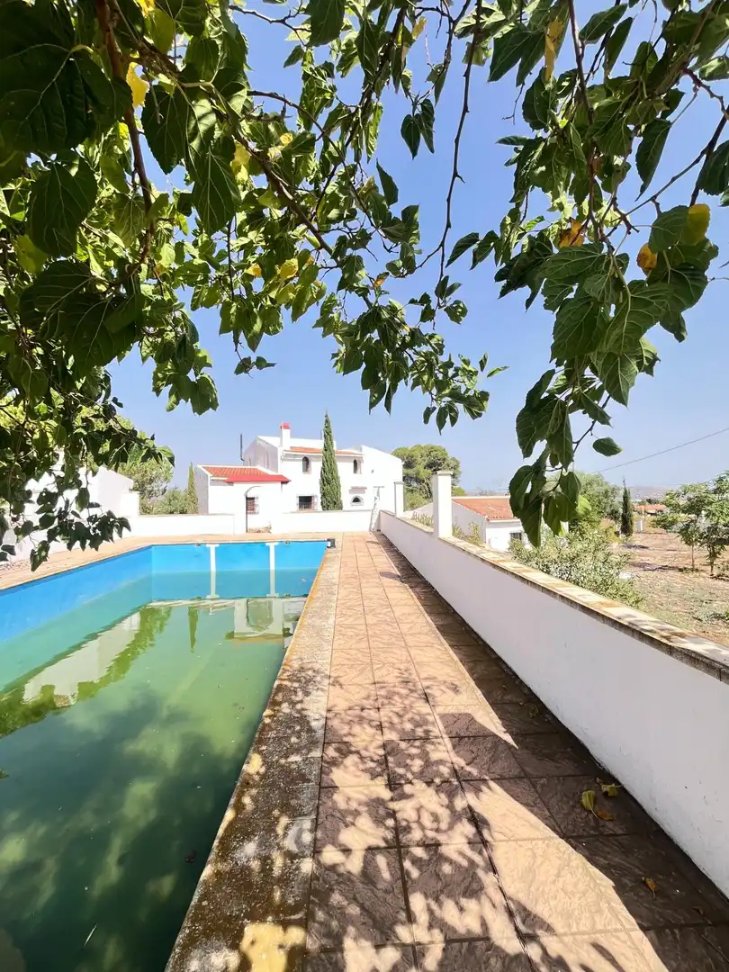 Piscina de Finca rústica en venta en Novelda con Aire acondicionado, Calefacción y Jardín privado