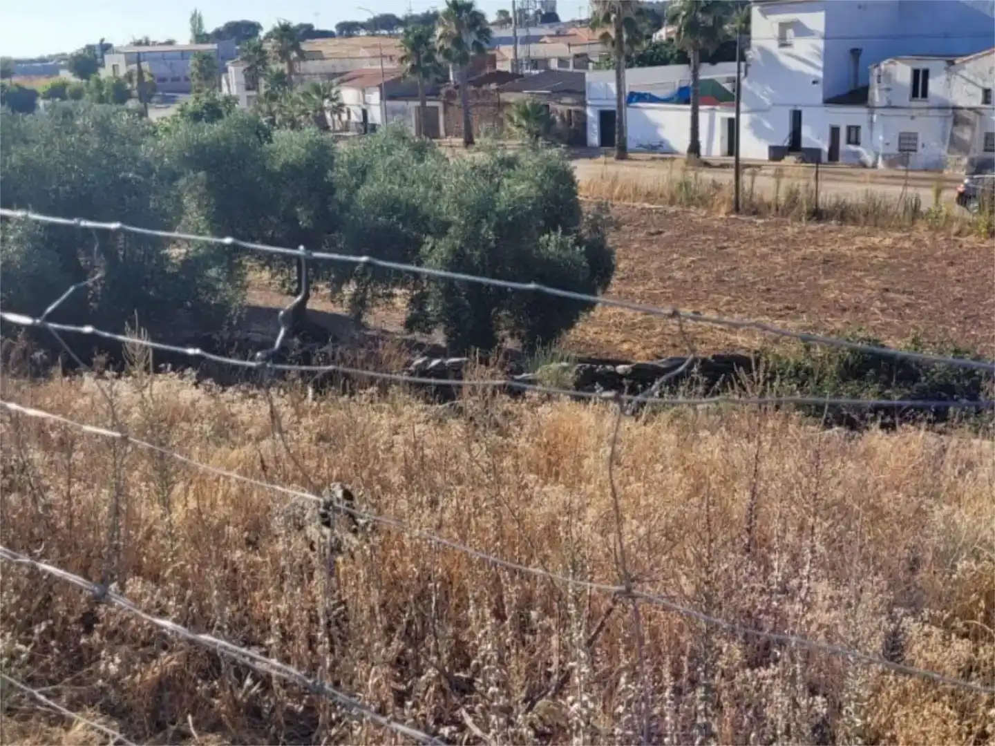 Terreno en venta en Puebla de Obando