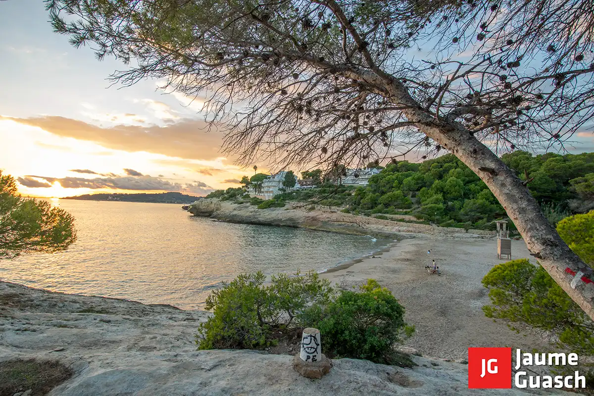 Vista exterior de Casa o xalet en venda en Torredembarra amb Aire condicionat, Calefacció i Jardí privat