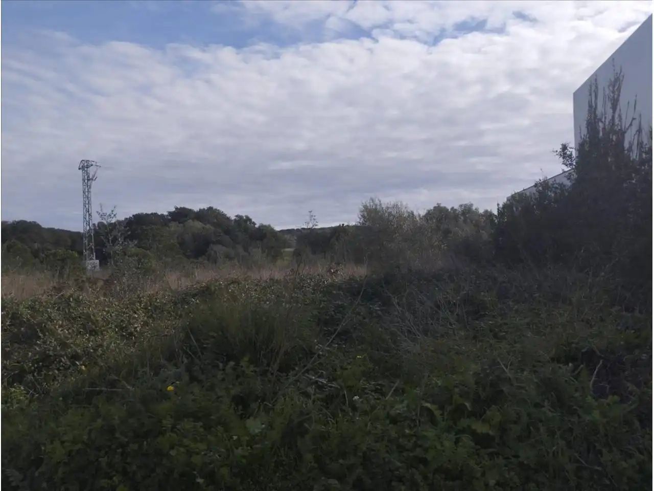 Terreny rústic en venda a Calle Maria Albertí i Vendrell, imagen 4