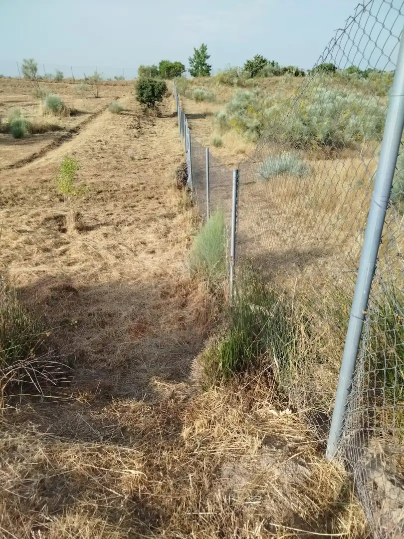 Terreno rústico en venta en Fuencarral - El Pardo, imagen 25