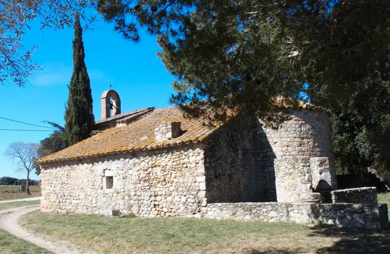 Terreno rústico en venta en Avinyonet de Puigventós, imagen 19