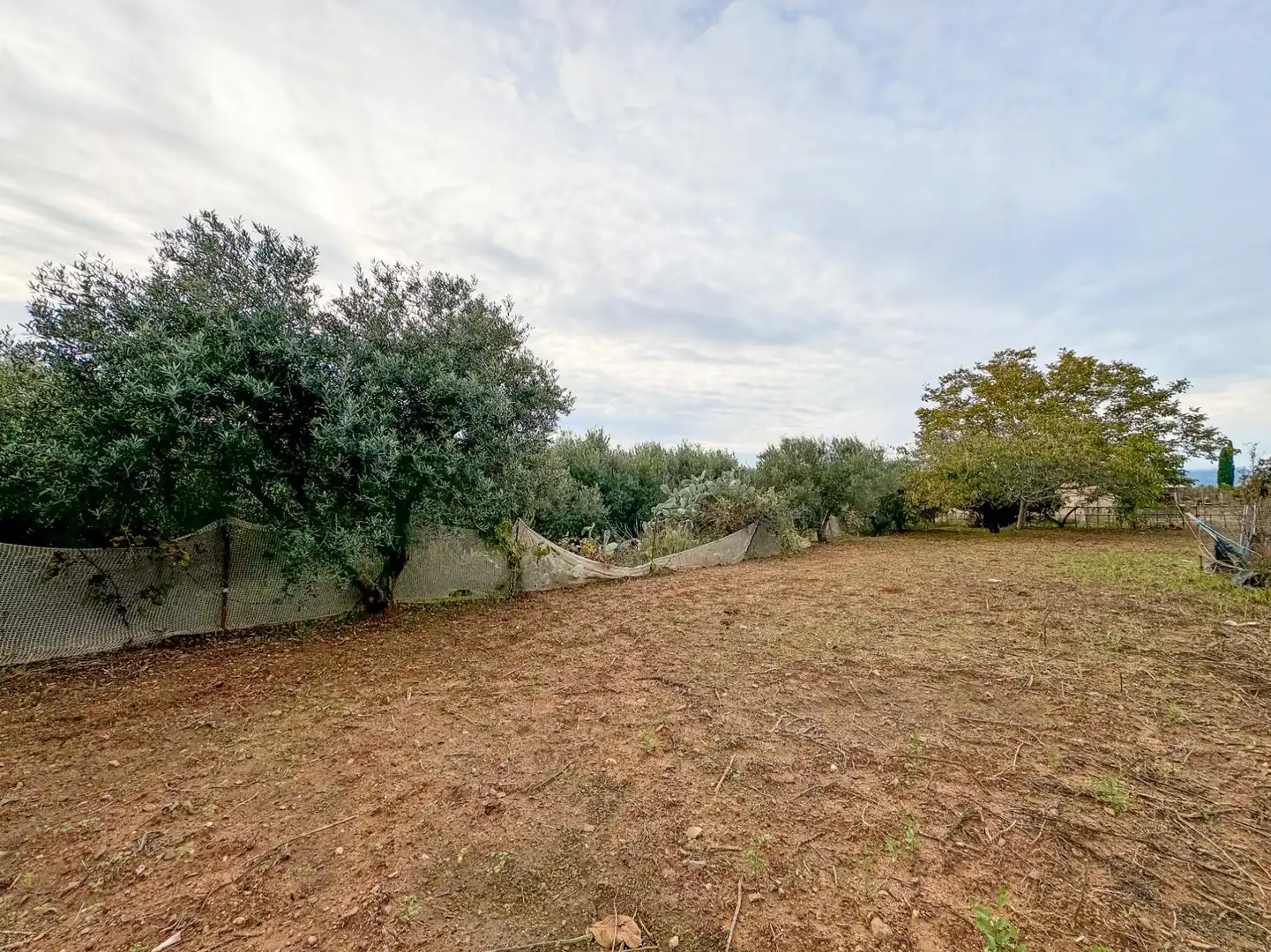 Finca rústica en venda a BURGAR DEL, 40, Riudoms