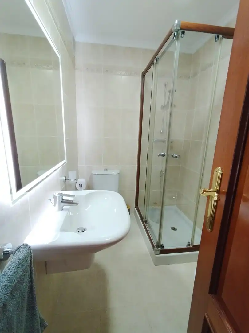 Bathroom of Flat for rent in Granada  with Air Conditioner, Heating and Furnished