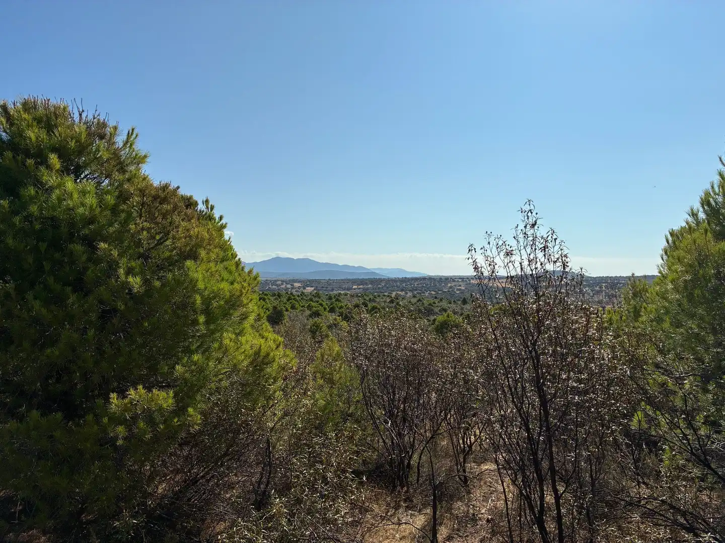 Rural land for sale in Puerto de San Vicente, imagen 7