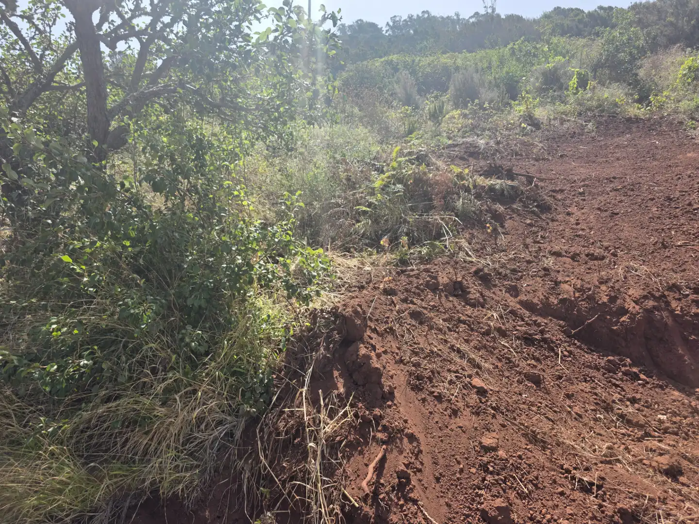 Rural land for sale in Camino las Peñuelas 11, imagen 22