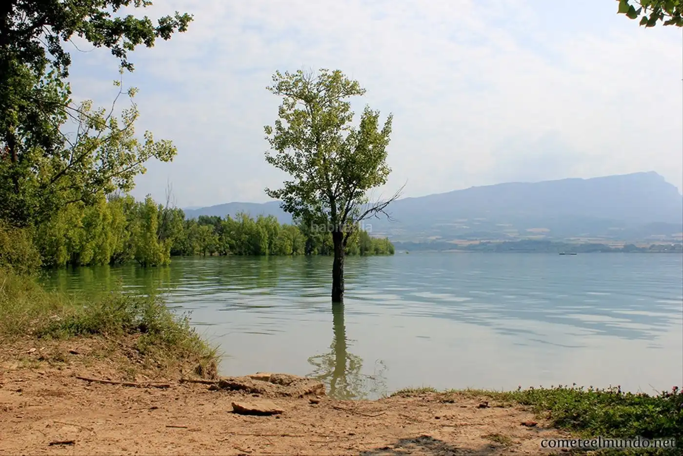 Residential land for sale in C-13 15, imagen 13