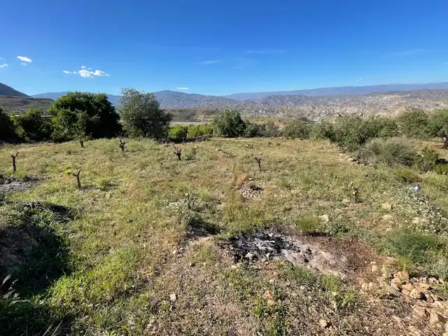 Terreno rústico en venta en Paraje los Molinicos 1, imagen 2