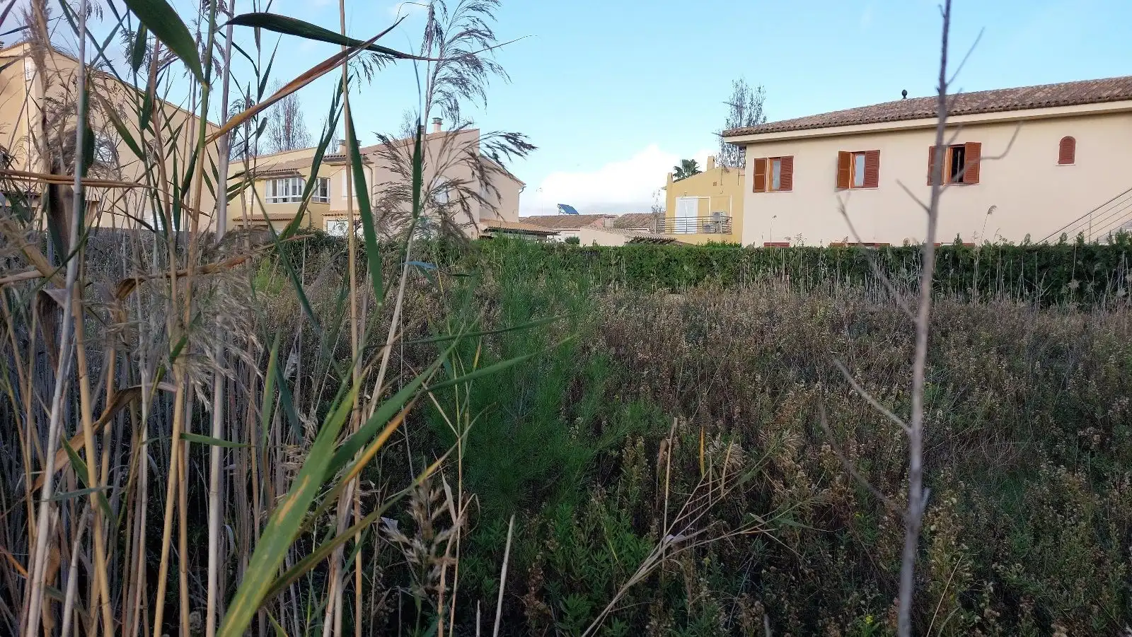 Terreny residencial en venda a Port d'Alcúdia - Platja d'Alcúdia, imagen 2