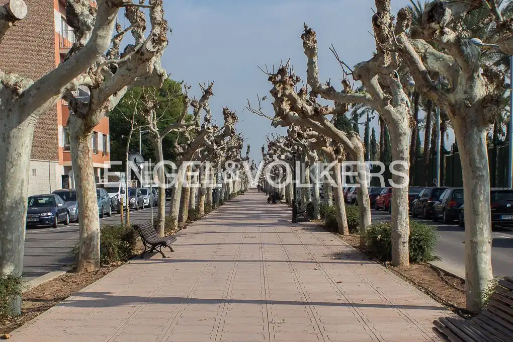 Vista exterior de Casa o xalet en venda en Castellón de la Plana / Castelló de la Plana amb Aire condicionat, Calefacció i Jardí privat