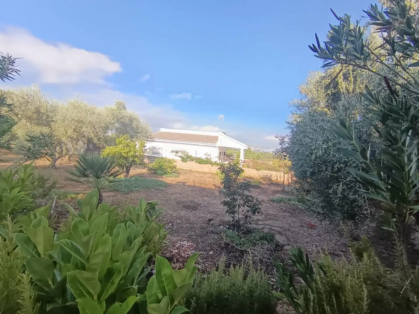 Finca rústica en venda a Chiva, Valencia